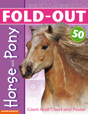 Fold-Out Poster Sticker Books