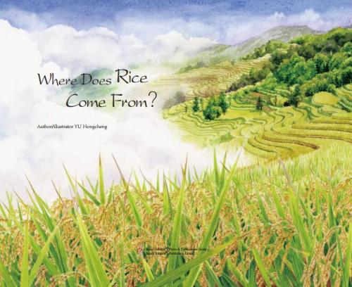 Where Does Rice Come From?