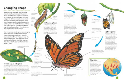 How It Works: Animals