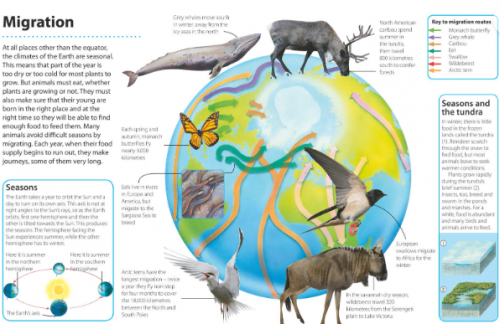 How It Works: Environment