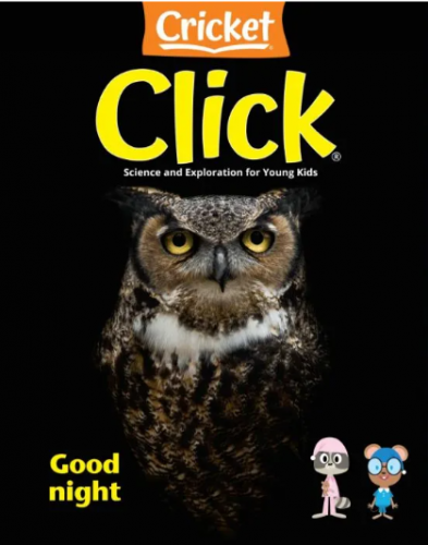 CLICK DERGİSİ