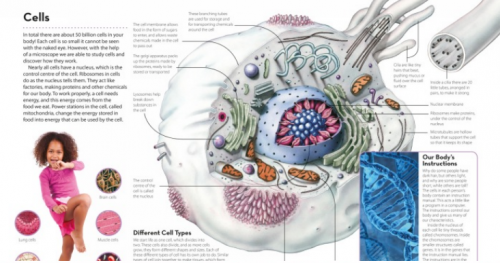 How It Works: The Body