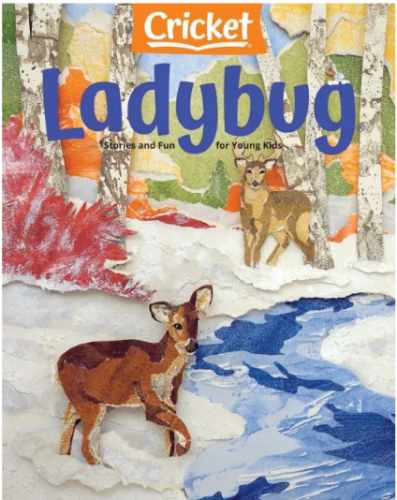 LADYBUG DERGİSİ