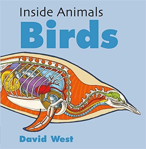 Inside Animals