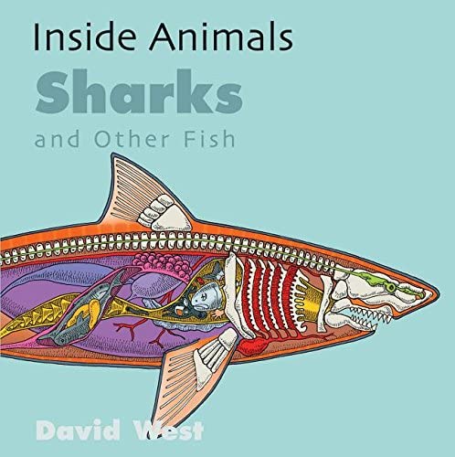 Inside Animals