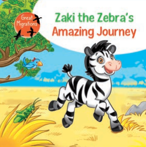 Amazing Journey