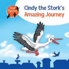 Amazing Journey