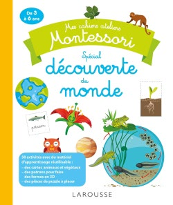 The Montessori Workshop Notebook Of World Discovery